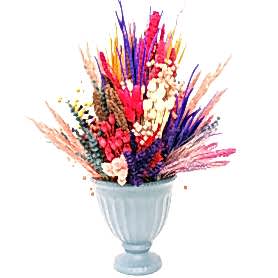 Dried Flower