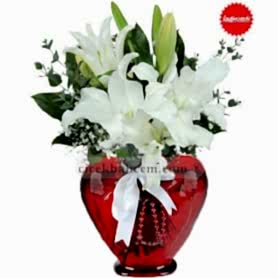 Kalpbimdeki Düş kokulu Lilyum C-KLP110