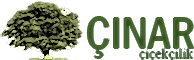 Çiçek Gönder,  Online Çiçek Siparişi, Çınar Çiçekçilik - Ucuz Çiçekçi